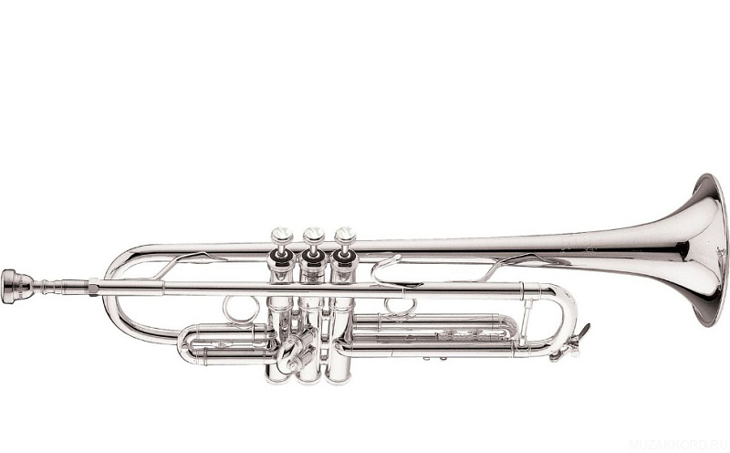 Фото BACH VBS1Sw37