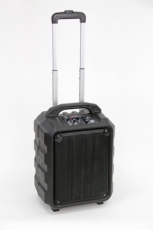 Фото Активная акустическая система Leem PR-6