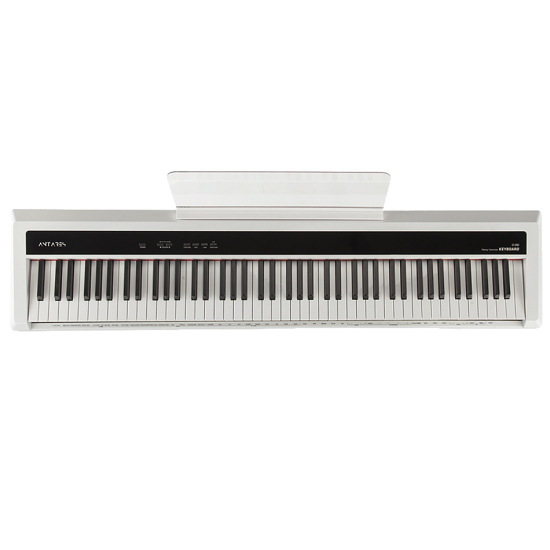 Фото Цифровое пианино Antares D-380 W