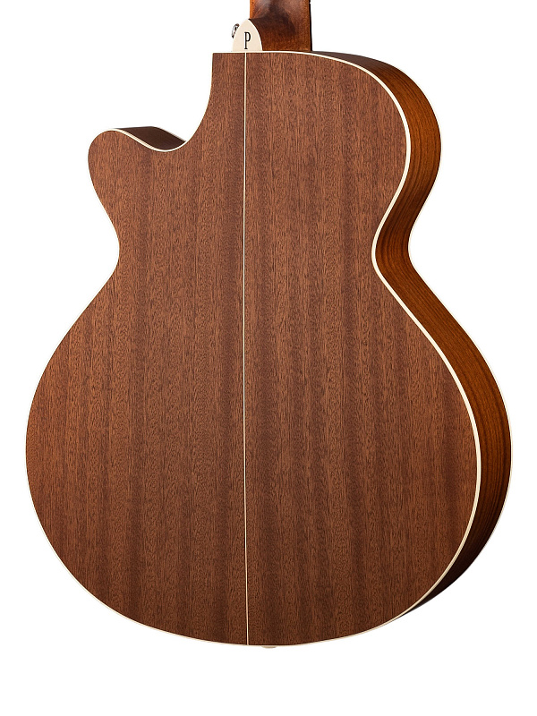 Фото Электро-акустическая гитара Parkwood S27-GT