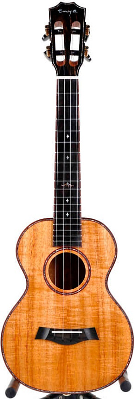 Фото Enya EUT-A5