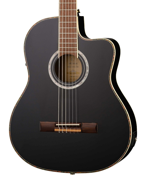 Фото Классическая гитара Ortega RCE145BK Family Series Pro 