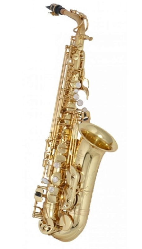 Buffet Crampon Student 100 Series BC8101-1-0 в магазине Music-Hummer