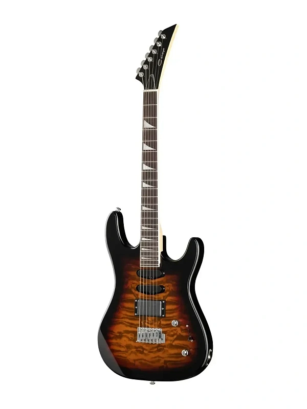 Фото Электрогитара Caraya E228BS