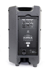 Активная акустическая система RFIntell DF10A