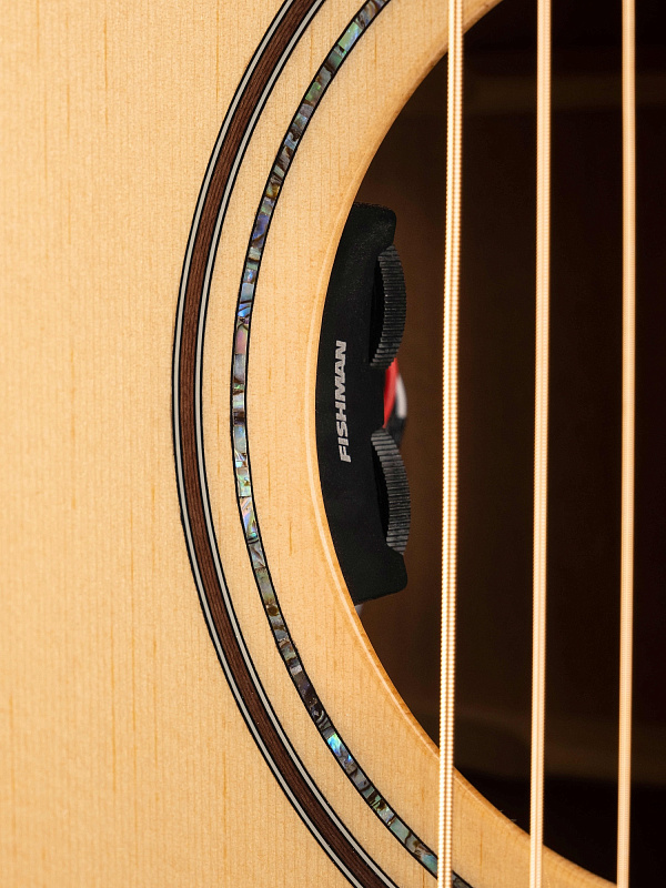 Фото Акустическая гитара, с чехлом Parkwood S62