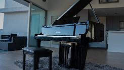 Цифровой рояль KAWAI NV12 EP