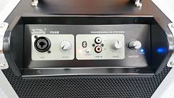 Активная акустическая система Soundking PA6B