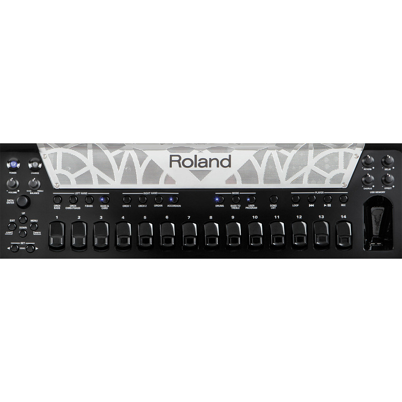 Фото Цифровой баян Roland FR-8xb (Black)