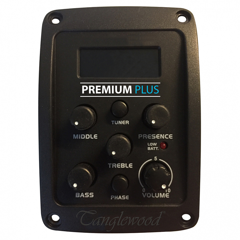 Фото Электроакустическая гитара TANGLEWOOD TWBB OE