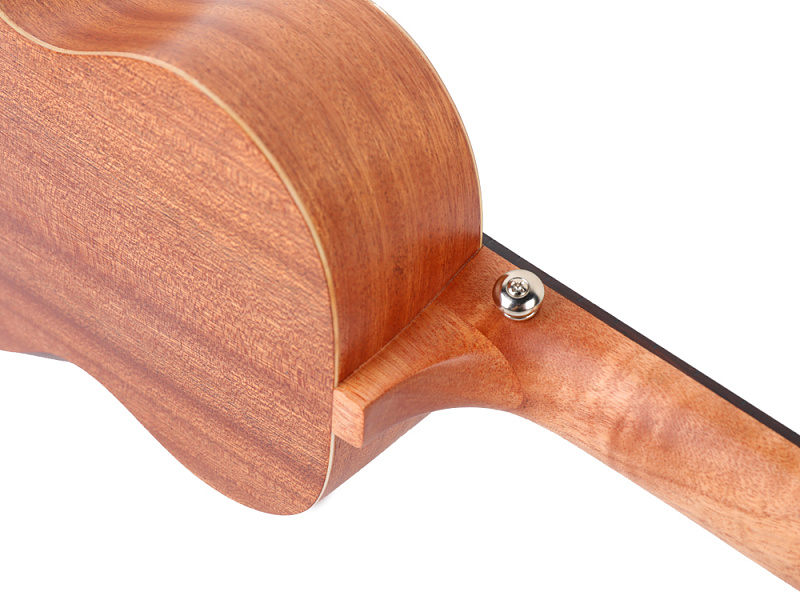 Фото Enya EUC-20