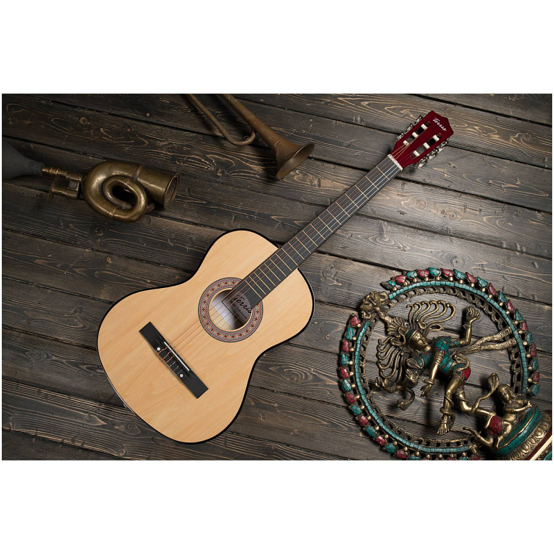 Классические классическая гитара terris tc-3801a na в магазине Music-Hummer