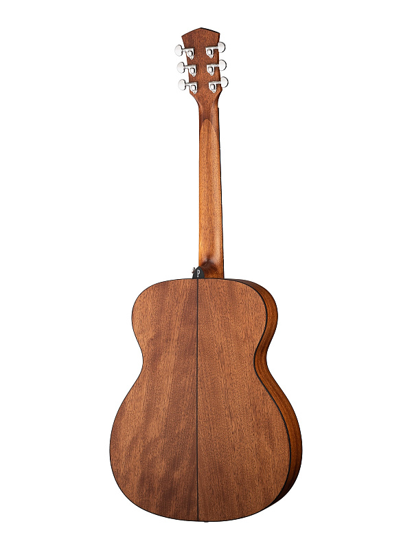 Фото Акустическая гитара Parkwood S22M-NS