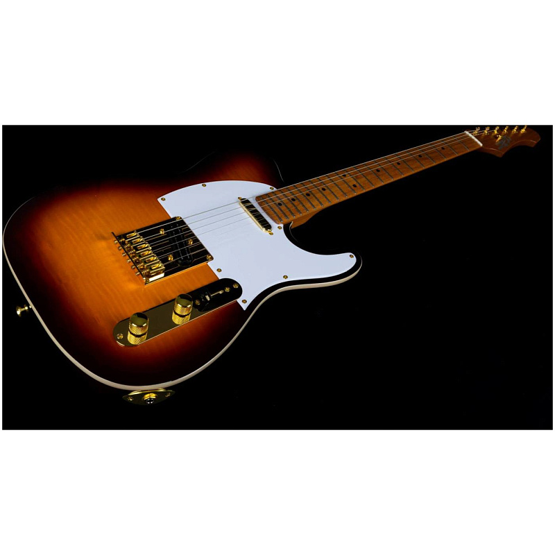 Фото Электрогитара JET JT-600 BS G