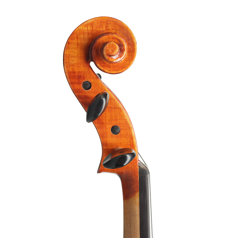 Фото Goronok Нова 406 мм Альт