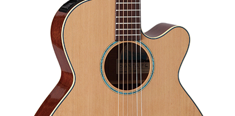 Фото TAKAMINE LEGACY TSF40C