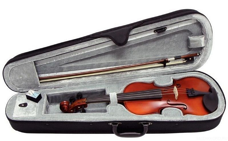 Фото GEWAPure Violin Outfit EW 3/4