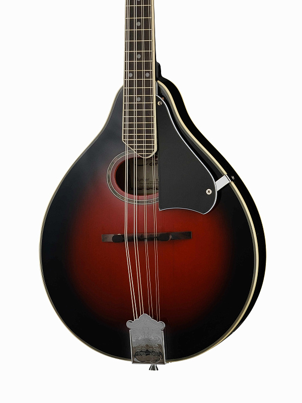 Фото Мандолина Caraya MA-002-RDS