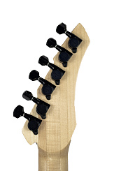 Электрогитара RUSICH GUITARS Spider (black) Titanium edition 27 ладов