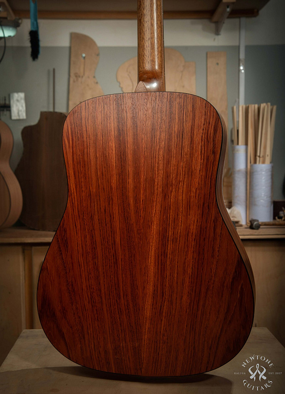 Фото Акустическая гитара NewTone NAOMI D N 43