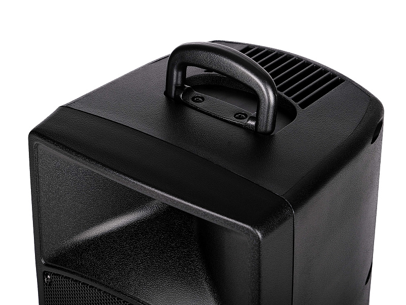 Фото Акустическая система Leem PR-8