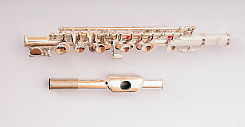 Флейта Пикколо Conductor FLT-PC-S