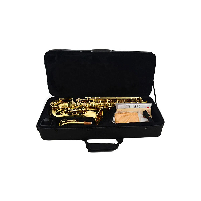 Альт-саксофон Stephan Weis AS-100G в магазине Music-Hummer