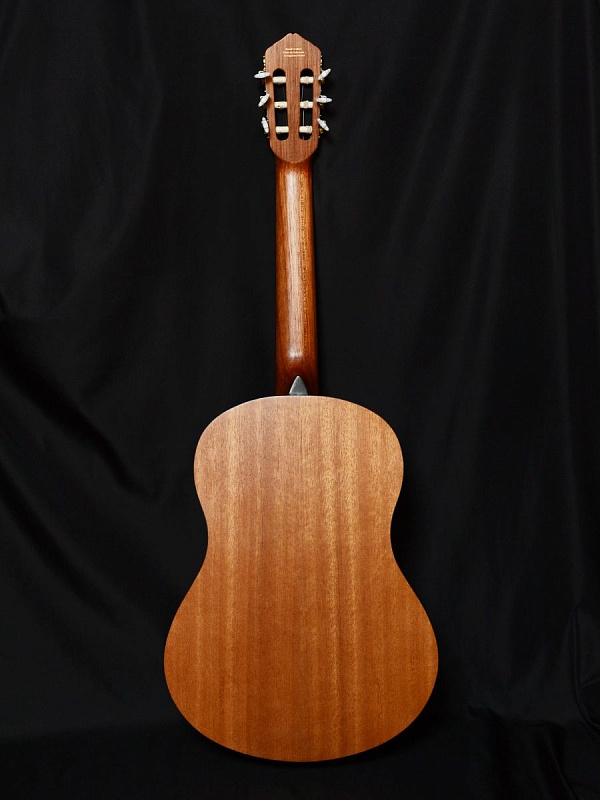 Фото Гитара классическая Livingstone Opera NS