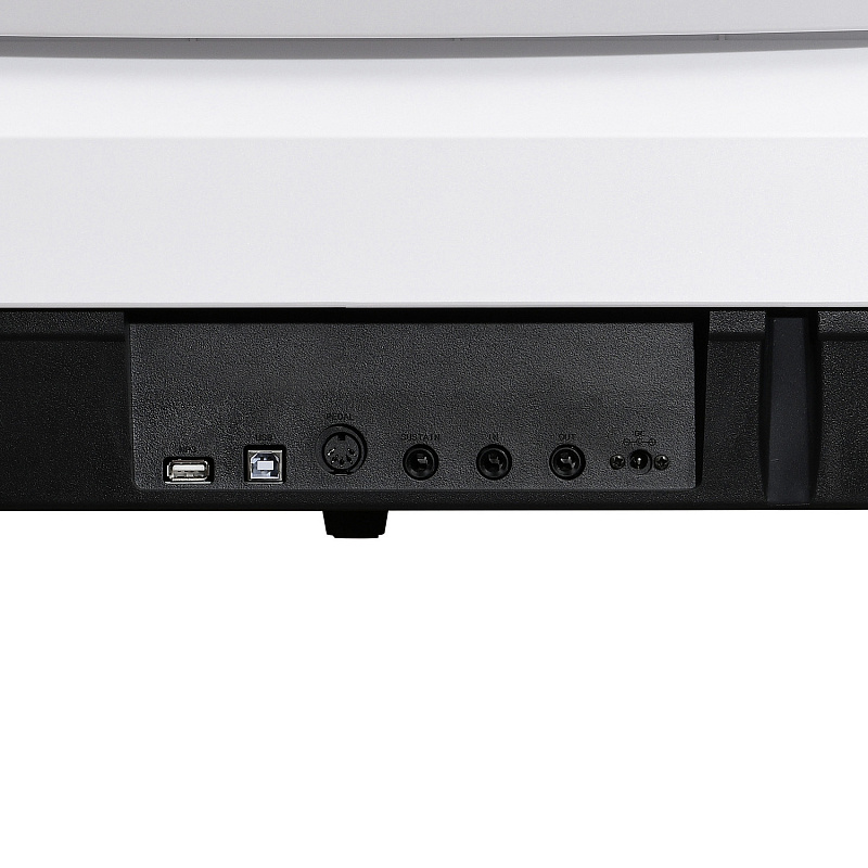 Фото Цифровое фортепиано EMILY PIANO D-20 WH