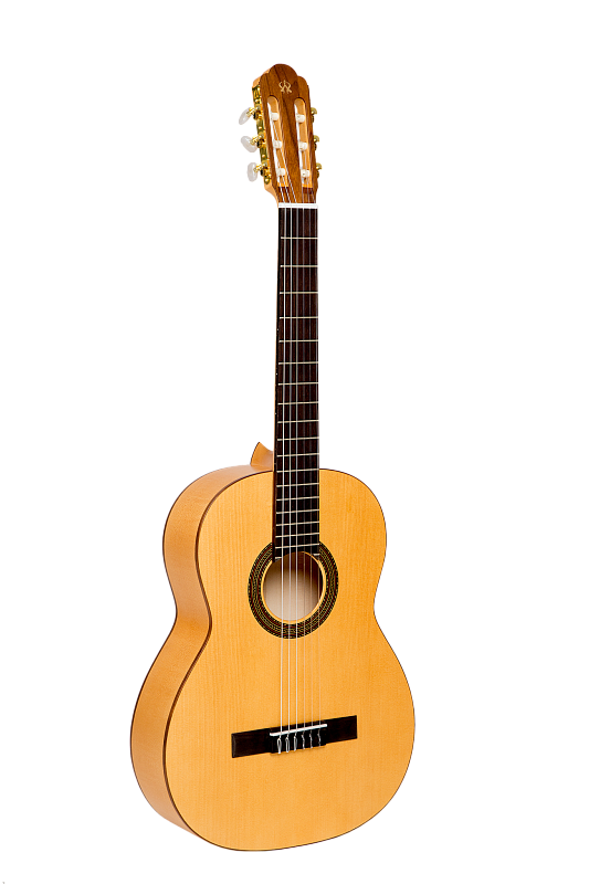 Фото NewTone Silena S N