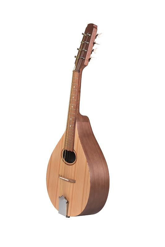 Фото P8BR Мандолина португальская, Doff