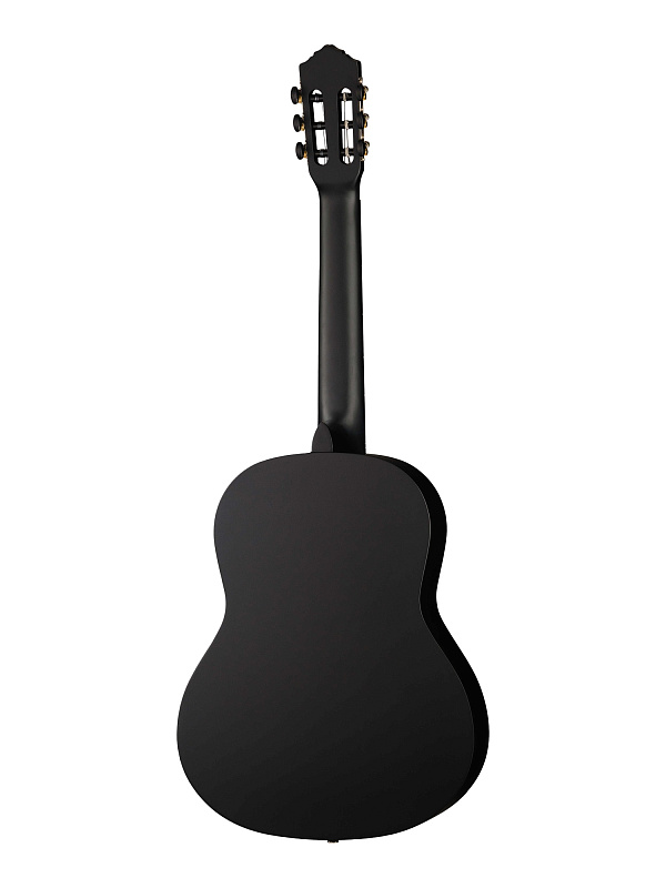 Фото Классическая гитара Ortega RST5MBK Student Series