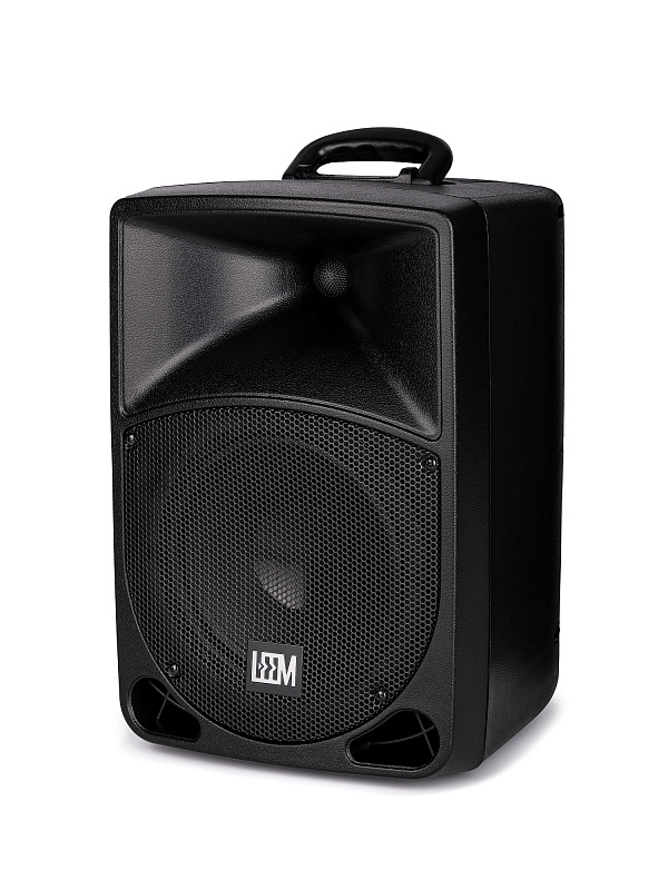 Фото Акустическая система Leem PR-8