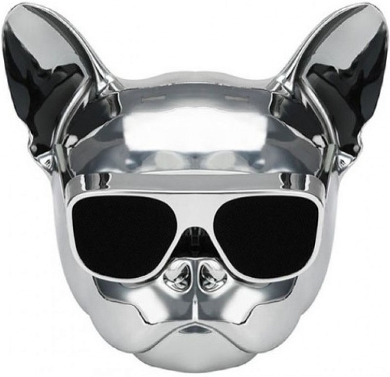 Фото Портативная акустическая система AEROSYSTEM Aerobull NANO Chrome silver