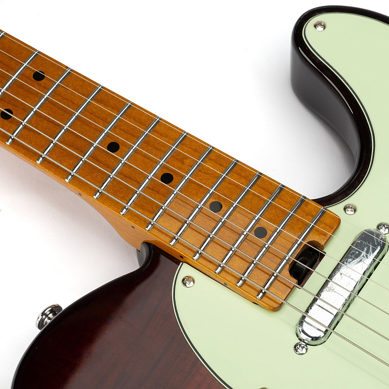 Фото Электрогитара EART NK-C1 Trans Brown