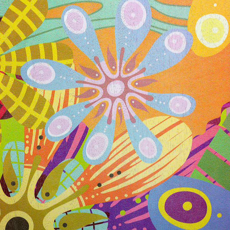 Фото Sela SE-179 Art Series Flower Power Кахон