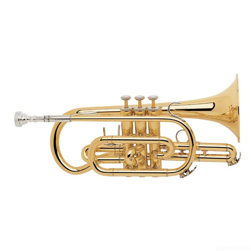 Фото CERVENY CTR 313BR-OT