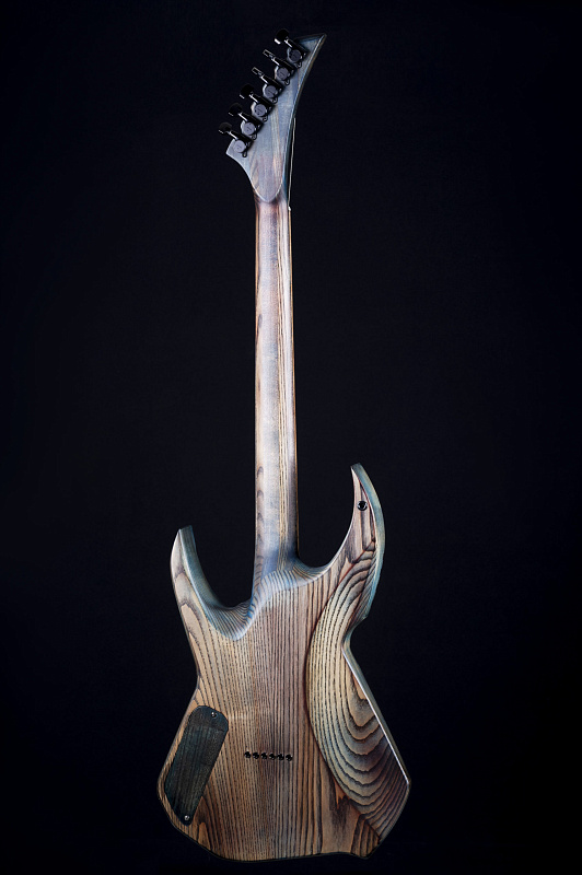 Фото Электрогитара RUSICH GUITARS Rock Eagle