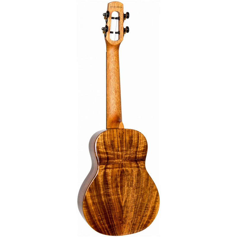 Фото Укулеле концерт FLIGHT VOYAGER CONCERT EQ-A