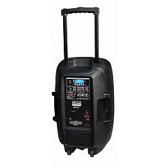 Активная акустическая система Xline NPS-12A