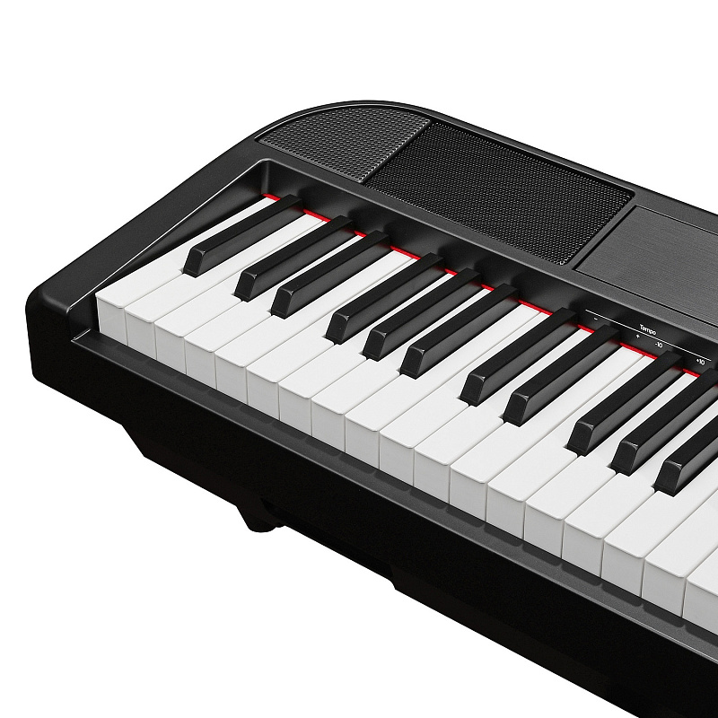 Фото Цифровое фортепиано EMILY PIANO D-22 BK