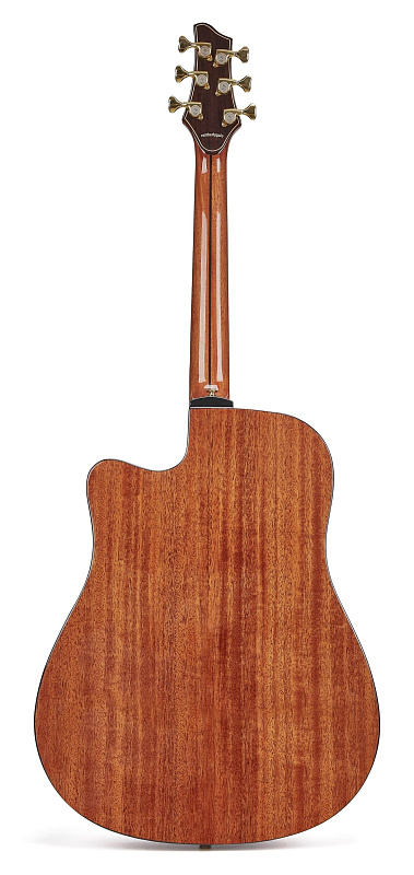 Фото Электроакустическая гитара NG DM411SCE NA
