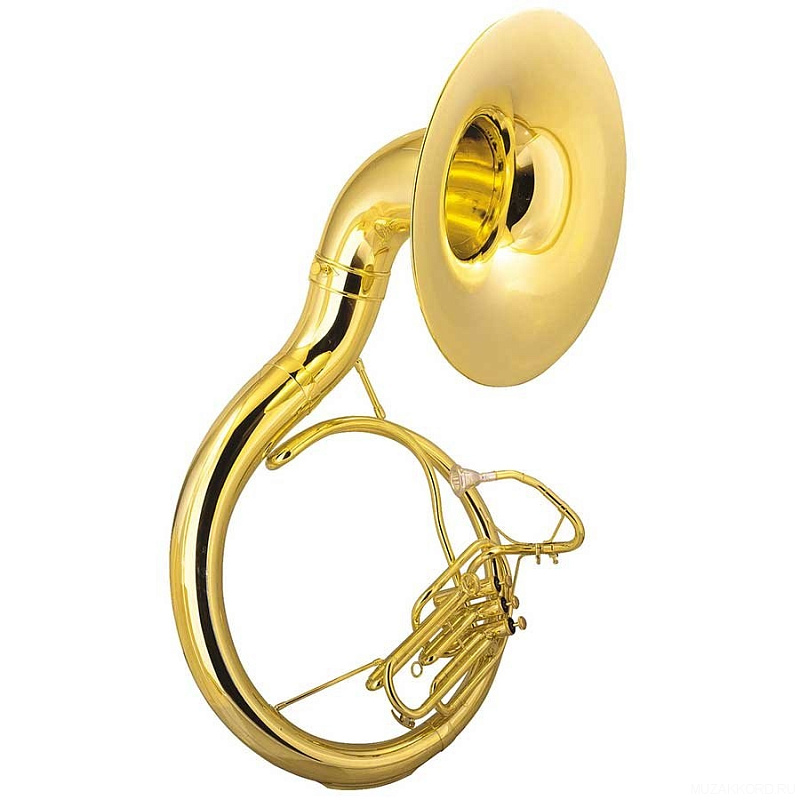 Фото Сузафон BRAHNER SOU-100G