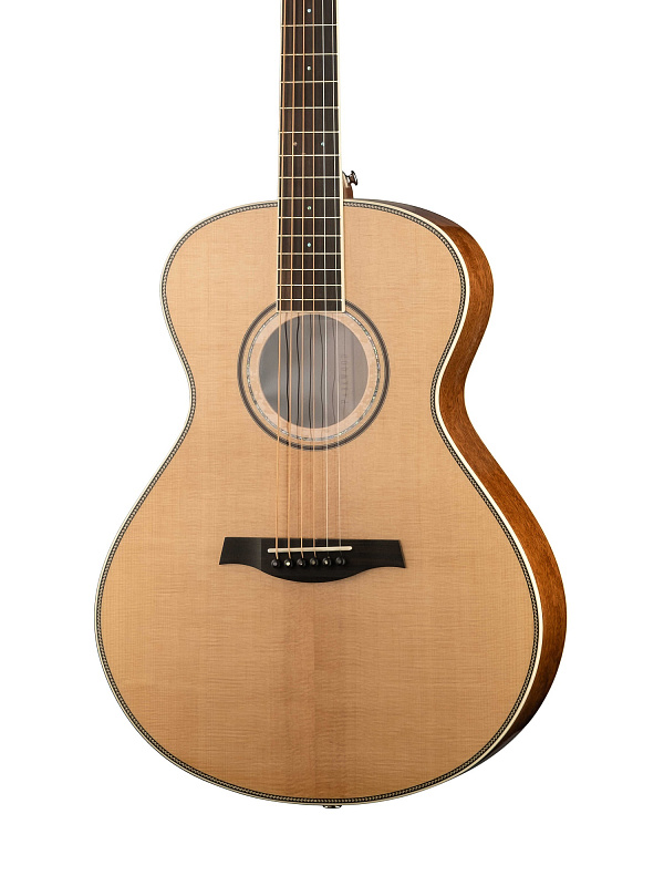 Фото Электро-акустическая гитара Parkwood P680-WCASE-NAT