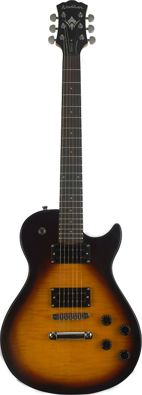 Фото WASHBURN WINDLX FTSB
