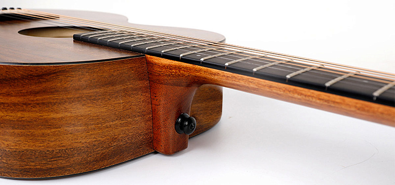 Фото Enya ED-X1+