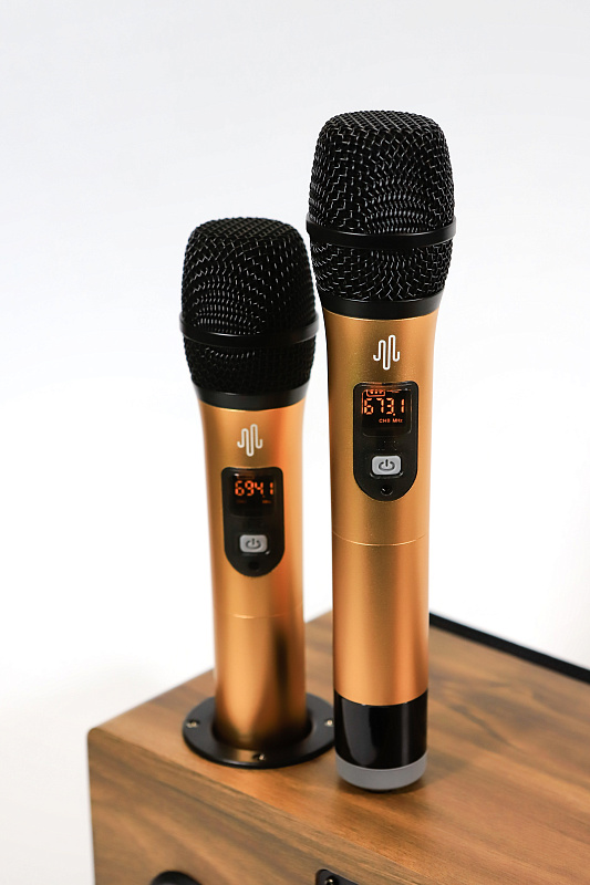 Фото Караоке система с встроенной акустикой MH Technologies Bar