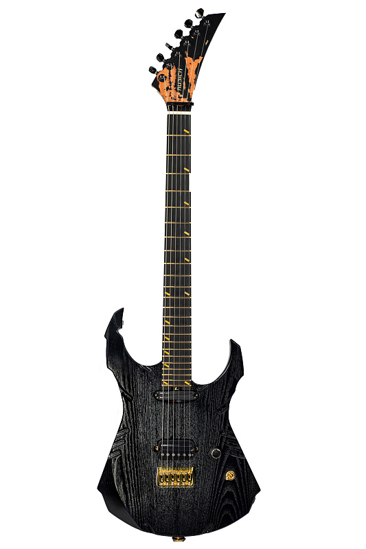 Фото Электрогитара RUSICH GUITARS Berserk (black) titanium edition